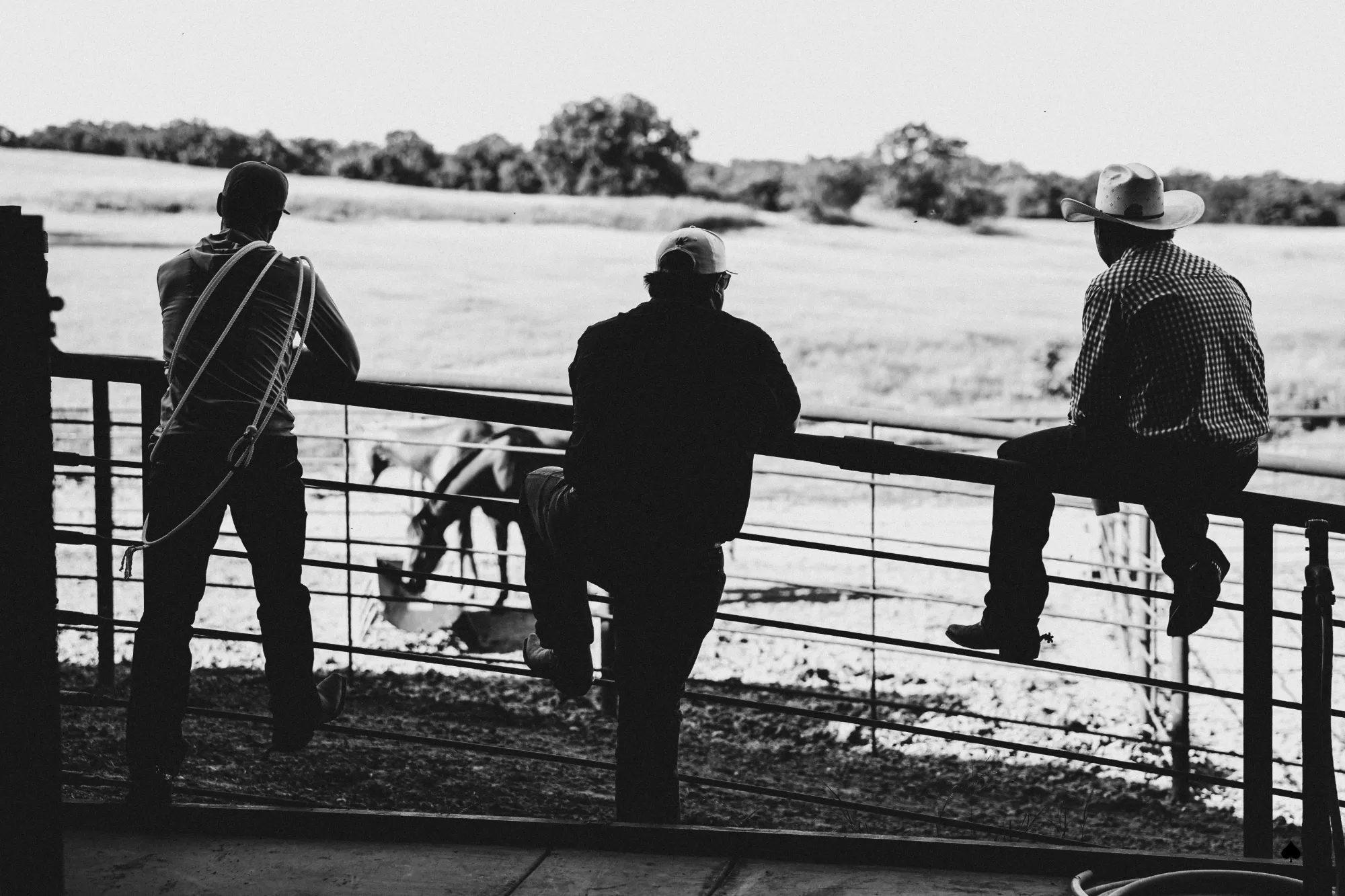 Three horsemen watching a young horse work